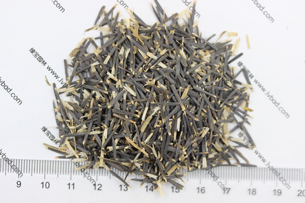 <a href='http://zishuwang.com.cn/caohuazhongzi/1604.html' target='_blank'>南非萬壽菊種子</a>