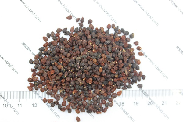 藍(lán)花<a href='http://zishuwang.com.cn/caohuazhongzi/1578.html' target='_blank'>鳶尾種子</a>