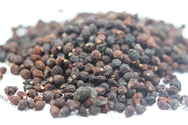 藍(lán)花<a href='http://zishuwang.com.cn/caohuazhongzi/1578.html' target='_blank'>鳶尾</a><a href='http://zishuwang.com.cn/' target='_blank'>種子</a>