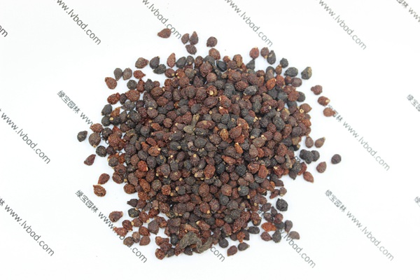 藍(lán)花<a href='http://zishuwang.com.cn/caohuazhongzi/1578.html' target='_blank'>鳶尾</a><a href='http://zishuwang.com.cn/' target='_blank'>種子</a>