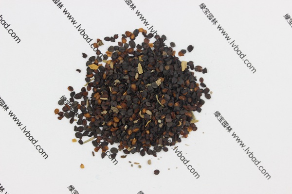 <a href='http://zishuwang.com.cn/caohuazhongzi/1574.html' target='_blank'>康乃馨</a><a href='http://zishuwang.com.cn/' target='_blank'>種子</a>