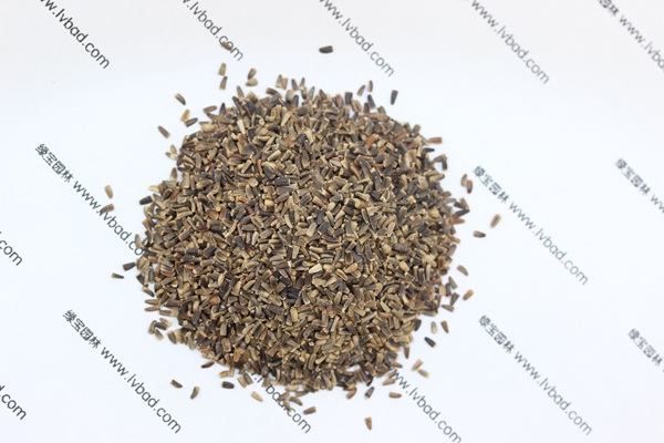 <a href='http://zishuwang.com.cn/mucaozhongzi/14254.html' target='_blank'>菊苣</a><a href='http://zishuwang.com.cn/' target='_blank'>種子</a>