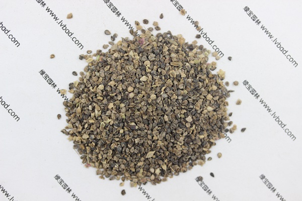 <a href='http://zishuwang.com.cn/caohuazhongzi/1041.html' target='_blank'>地膚</a><a href='http://zishuwang.com.cn/' target='_blank'>種子</a>