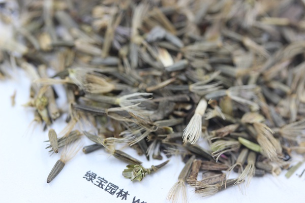 <a href='http://zishuwang.com.cn/caohuazhongzi/1620.html' target='_blank'>蛇鞭菊種子</a>
