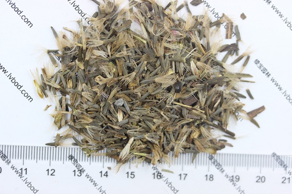 <a href='http://zishuwang.com.cn/caohuazhongzi/1620.html' target='_blank'>蛇鞭菊種子</a>