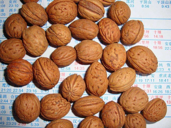 <a href='http://zishuwang.com.cn/guoshuzhongzi/2185.html' target='_blank'>山桃種子</a>