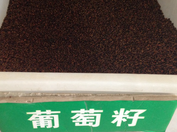 <a href='http://zishuwang.com.cn/guoshuzhongzi/1887.html' target='_blank'>葡萄</a><a href='http://zishuwang.com.cn/' target='_blank'>種子</a>