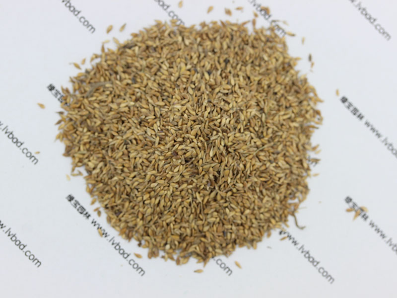 <a href='http://zishuwang.com.cn/caopingzhongzi/1671.html' target='_blank'>結(jié)縷草種子</a>