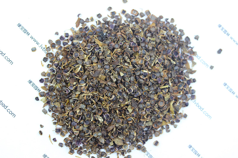 <a href='http://zishuwang.com.cn/caohuazhongzi/1568.html' target='_blank'>金雞菊種子</a>
