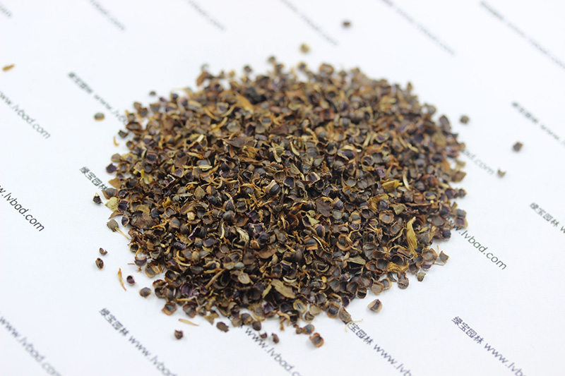 金雞菊<a href='http://zishuwang.com.cn/' target='_blank'>種子</a>