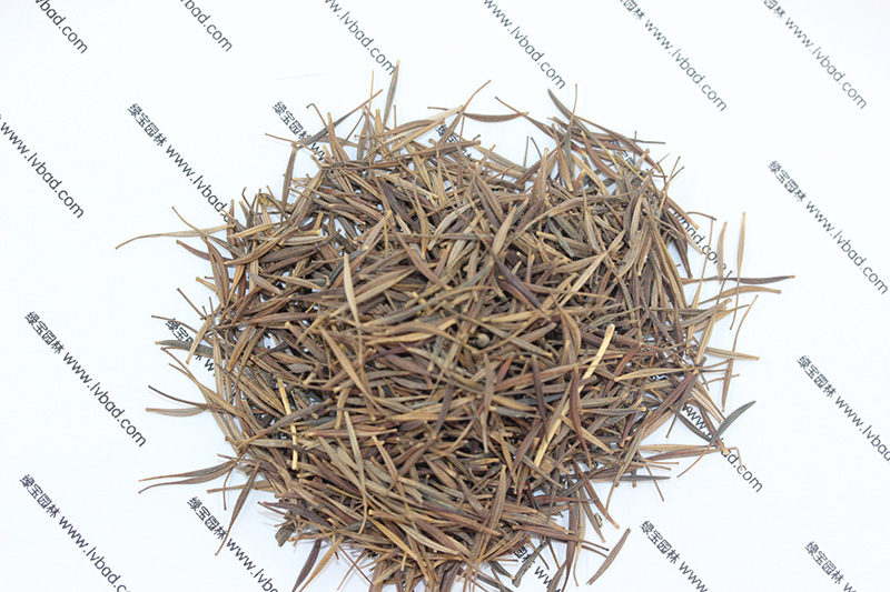 <a href='http://zishuwang.com.cn/caohuazhongzi/1583.html' target='_blank'>硫華菊種子</a>