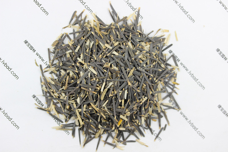 <a href='http://zishuwang.com.cn/caohuazhongzi/1631.html' target='_blank'>萬壽菊種子</a>