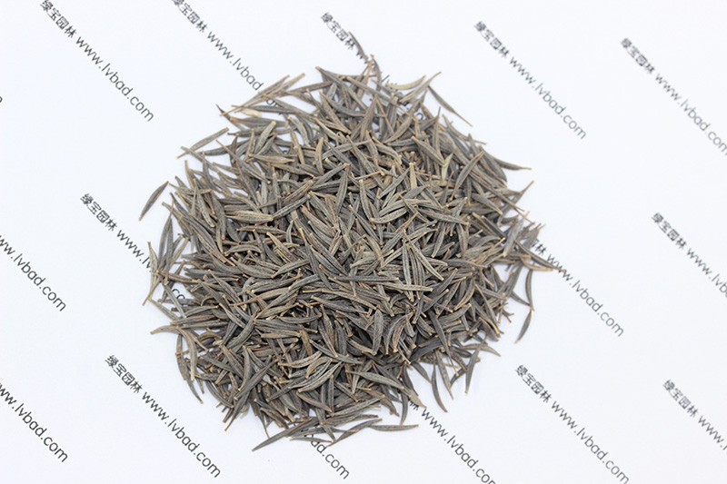 <a href='http://zishuwang.com.cn/caohuazhongzi/1054.html' target='_blank'>格?；ǚN子</a>