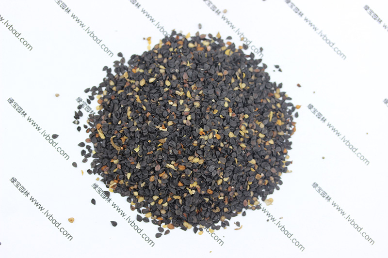 <a href='http://zishuwang.com.cn/caohuazhongzi/97045.html' target='_blank'>石竹</a><a href='http://zishuwang.com.cn/' target='_blank'>種子</a>