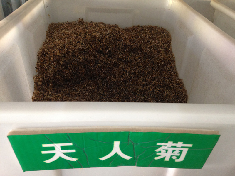 <a href='http://zishuwang.com.cn/caohuazhongzi/16044.html' target='_blank'>天人菊</a><a href='http://zishuwang.com.cn/' target='_blank'>種子</a>