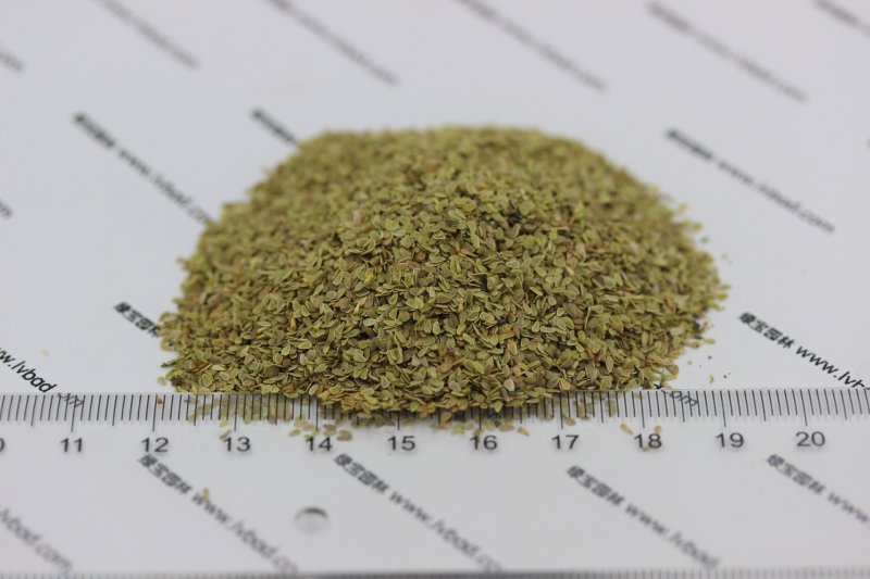 雛菊<a href='http://zishuwang.com.cn/' target='_blank'>種子</a>