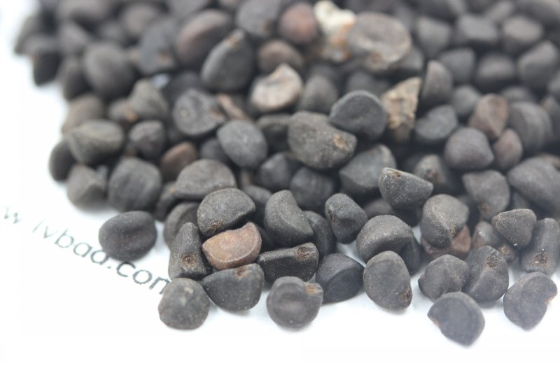 <a href='http://zishuwang.com.cn/caohuazhongzi/1613.html' target='_blank'>牽牛花</a><a href='http://zishuwang.com.cn/' target='_blank'>種子</a>
