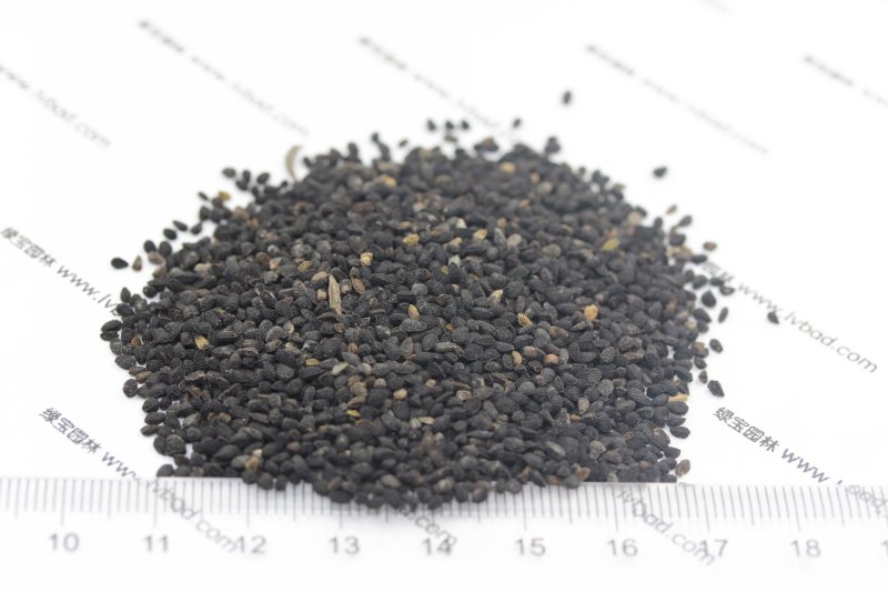 <a href='http://zishuwang.com.cn/caohuazhongzi/1061.html' target='_blank'>黑種草種子</a>