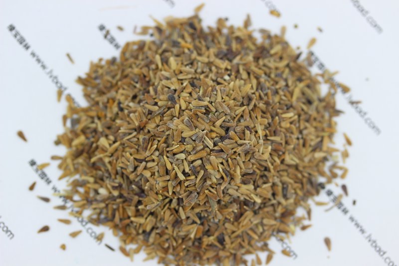 翠菊<a href='http://zishuwang.com.cn/' target='_blank'>種子</a>