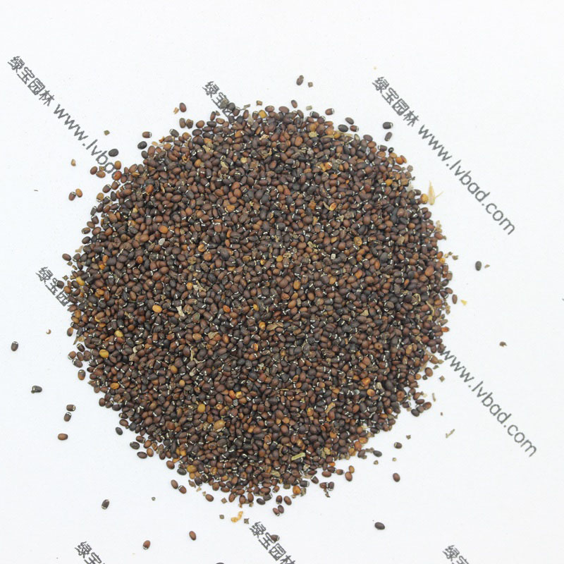 <a href='http://zishuwang.com.cn/caohuazhongzi/1023.html' target='_blank'>薄荷</a><a href='http://zishuwang.com.cn/' target='_blank'>種子</a>